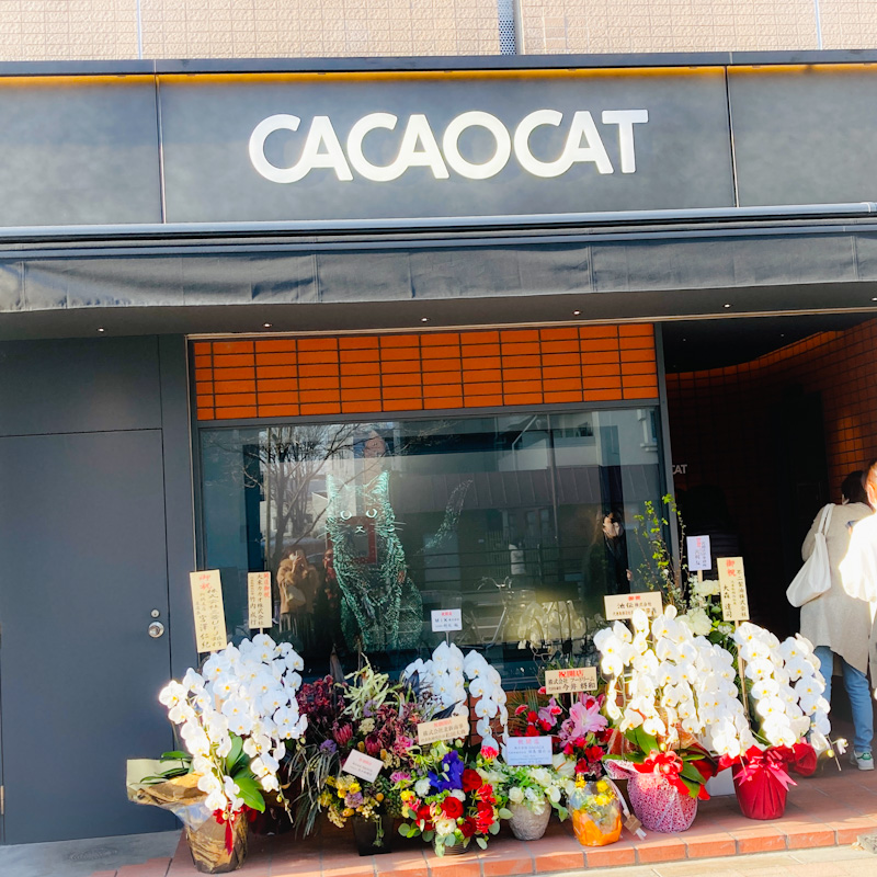 【白金台】CACAOCAT(カカオキャット)/自由でわがままな猫さえも虜にする北海道産プレミアムチョコレート