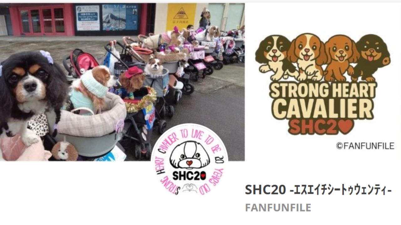 SHC20/東京都キャバリア推進会 - 関連リンク集（連絡事項の更新等に応じて不定期に更新）